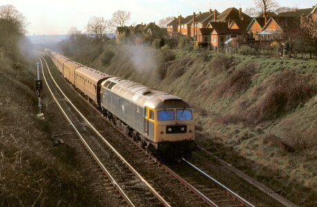 IMG_1418_Original.jpeg IMG_1418_Original.jpeg