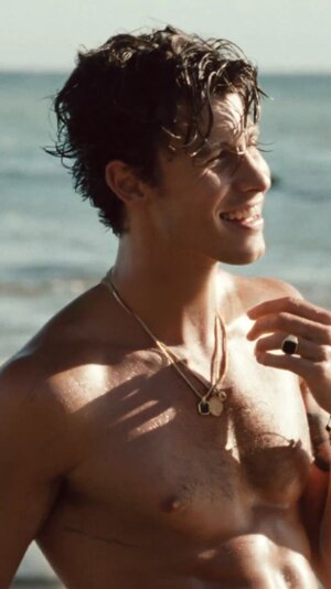 Shawn Mendes.jpeg.jpg