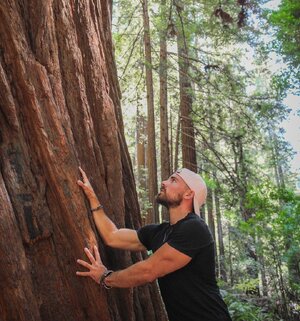 70242464_Muir Woods, California.jpg 70242464_Muir Woods, California.jpg