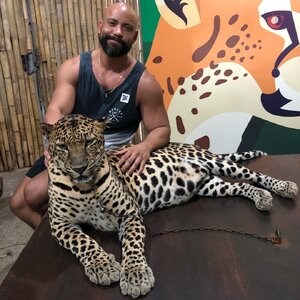 Leonardo Gomes 26223442.jpg