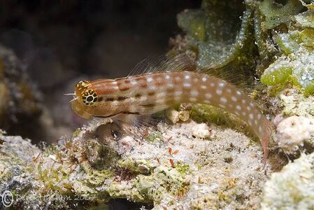 images - 2023-12-31T123241.053.jpeg