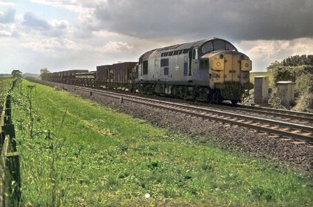 IMG_8870.jpeg IMG_8870.jpeg