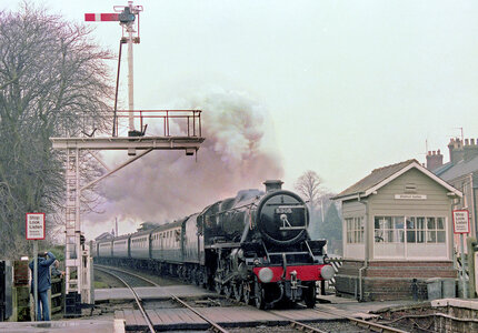 IMG_8876.jpeg IMG_8876.jpeg