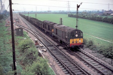 IMG_1536_Original.jpeg IMG_1536_Original.jpeg