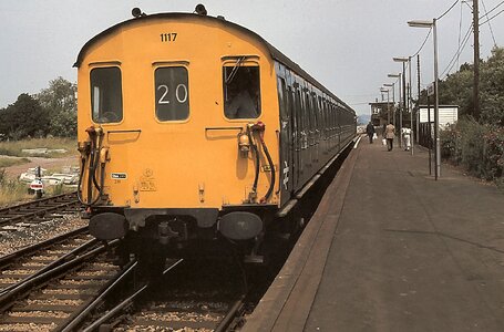 IMG_2600.jpeg IMG_2600.jpeg