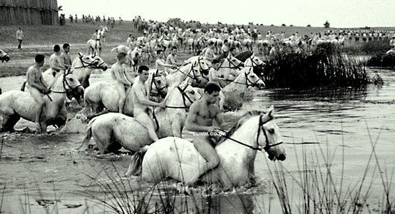 Rare-Vintage-Male-Nudes-caballo-768x416.jpg
