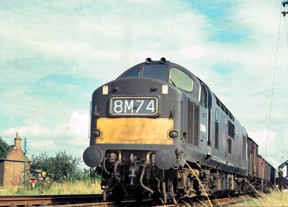 IMG_4589.jpeg IMG_4589.jpeg