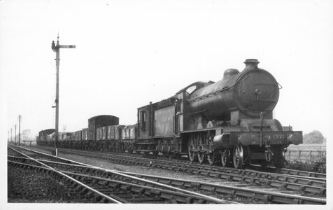 IMG_4595.jpeg IMG_4595.jpeg