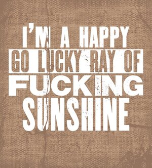inspiring-motivation-quote-with-text-i-am-happy-go-lucky-ray-fucking-sunshine-vector-typograph...jpg