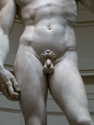 'David'_by_Michelangelo_JBU07.JPG