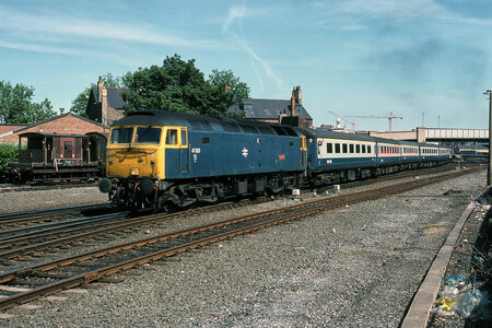 IMG_1859_Original.jpeg IMG_1859_Original.jpeg