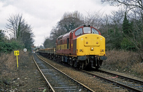 IMG_1904_Original.jpeg IMG_1904_Original.jpeg