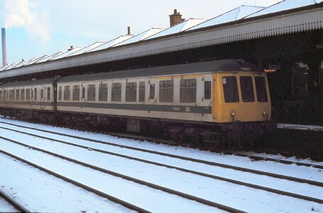 IMG_1912_Original.jpeg IMG_1912_Original.jpeg