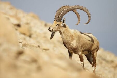 images - 2024-01-25T161600.260.jpeg