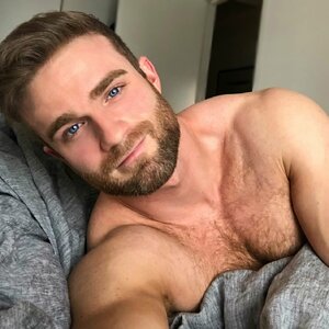 bed grey 73032739.jpg