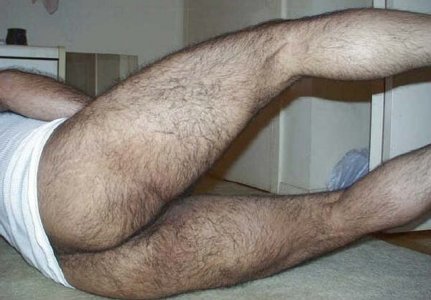 hairyass8.jpg