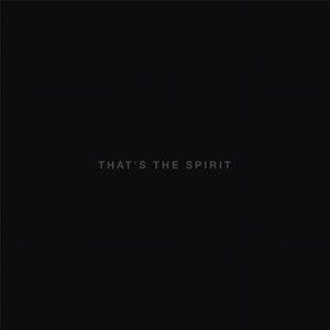 Bring_Me_The_Horizon_-_That's_The_Spirit.jpg