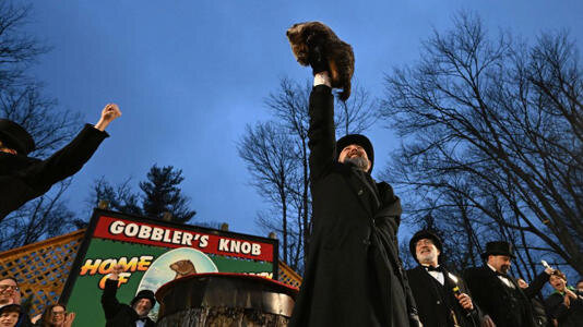 punxsutawney phil.jpg