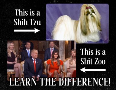 IMG_3436.jpeg IMG_3436.jpeg