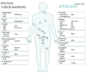 abo-tumor-markers-image.png