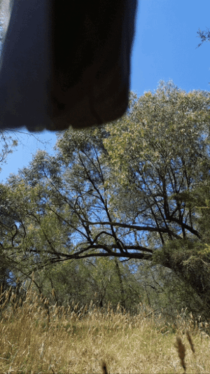 20231223_235402.gif