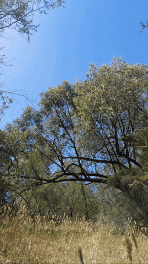20231223_235641.gif