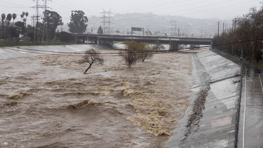 pineapple express.jpg