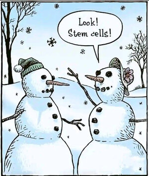 4fun2243.jpg 4fun2243.jpg