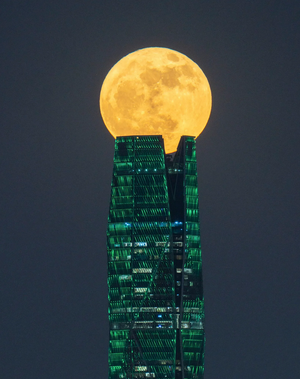 Screenshot 2024-02-07 at 18-51-07 Sony World Photography Awards 2024 Eine Extraportion Schönheit.png