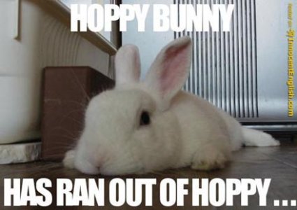 bunny hoppless.jpg