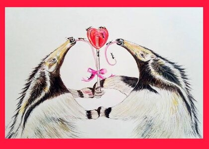 images - 2024-02-15T193431.566.jpeg