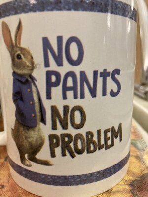 Rabbit-- No Pants No Problem.jpeg