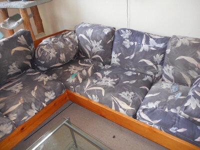 DSCN1384.jpg DSCN1384.jpg