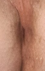 m2.jpg