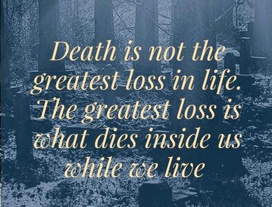 0 Pg1mJNv0ypLoyEKu.jpg