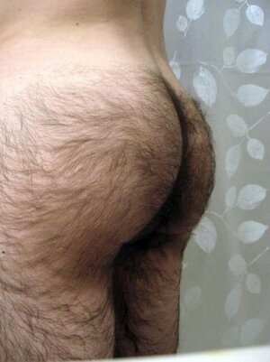 hairy ass500.jpg