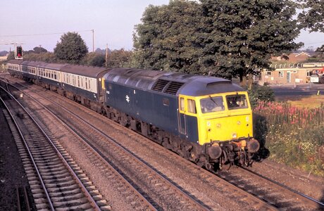 IMG_4811.jpeg IMG_4811.jpeg