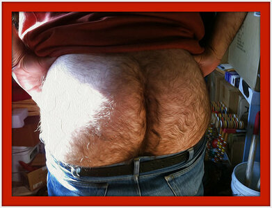 Fuzzy  Ass  007.jpg