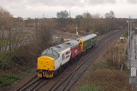 IMG_9179.jpeg IMG_9179.jpeg