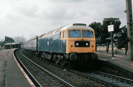 IMG_2931.jpeg IMG_2931.jpeg