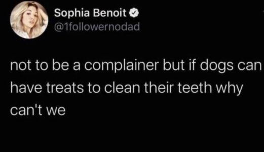 7 dentist-memes-featured-dec-12.jpg