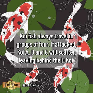 D Koi.png