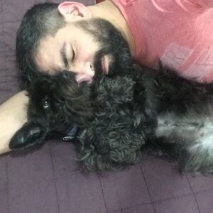 Sebas Sylar and Greta 60616935.jpg