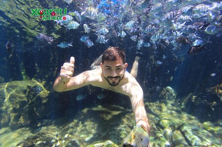 Pepe Arana 28157289.jpg