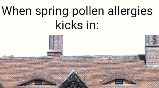 first-day-of-spring-memes-1616172991783.jpg