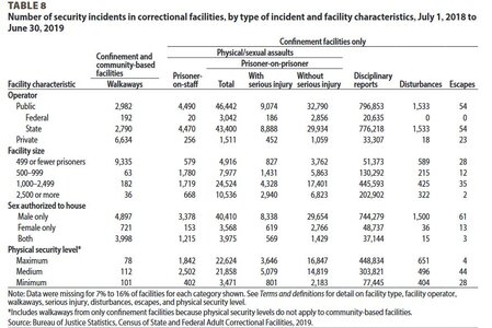 Security in Prison.JPG