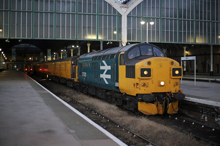 IMG_4942.jpeg IMG_4942.jpeg