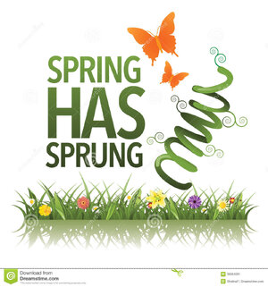 spring has sprung.jpg