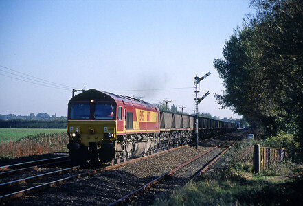 IMG_9241.jpeg IMG_9241.jpeg