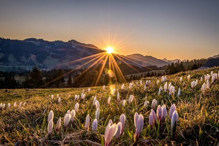 frühling mus-scaled.jpg